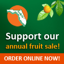 Florida Indian River Groves Fruit Sale banner